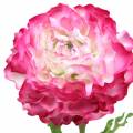 Floristik24 Ranunculus růžový umělý 48cm