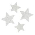 Floristik24 Bodová dekorace hvězdy bílá se slídou 4-5cm 40ks