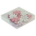 Floristik24 Bodová dekorace stolní květiny dřevo bílá růžová fialová 3,5cm 36ks