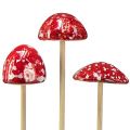Floristik24 Muchomůrky na špejli, červené, 4cm, sada 6ks - dekorativní zahradní houby pro podzimní dekoraci