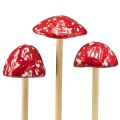 Floristik24 Muchomůrky na špejli, červené, 5,5cm, sada 6ks - dekorativní podzimní houby na zahradu i domov