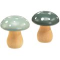 Floristik24 Dřevěné houby dekorativní houby dřevěné muchovníky zelená máta 5cm 8ks