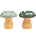 Floristik24 Dřevěné houby dekorativní houby dřevěné muchovníky zelená máta 5cm 8ks