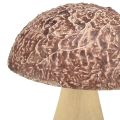 Floristik24 Dřevěné houby dekorační houby stolní dekorace podzimní hnědá přírodní 5×6cm 8ks
