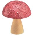 Floristik24 Dřevěné houby dekorační houby stolní dekorace podzimní červená přírodní 5×6cm 9ks
