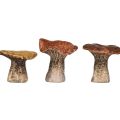 Floristik24 Dekorativní figurky houby inspirované přírodou v sadě 3 - různé odstíny hnědé, 6,4 cm - okouzlující akcenty pro zahradu a domov