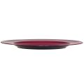 Floristik24 Všestranné tmavě červené plastové talíře – 28 cm, ideální pro dekoraci a venkovní použití – 4 kusy