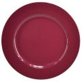 Floristik24 Všestranné tmavě červené plastové talíře – 28 cm, ideální pro dekoraci a venkovní použití – 4 kusy